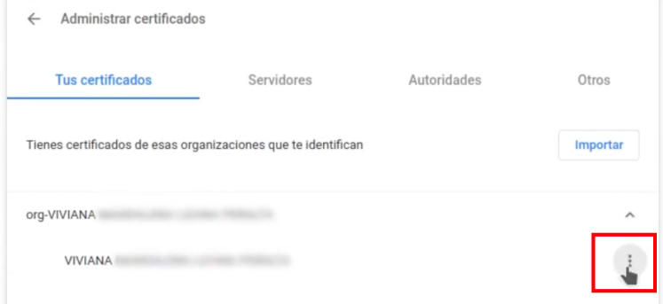 Menú de Google Chrome