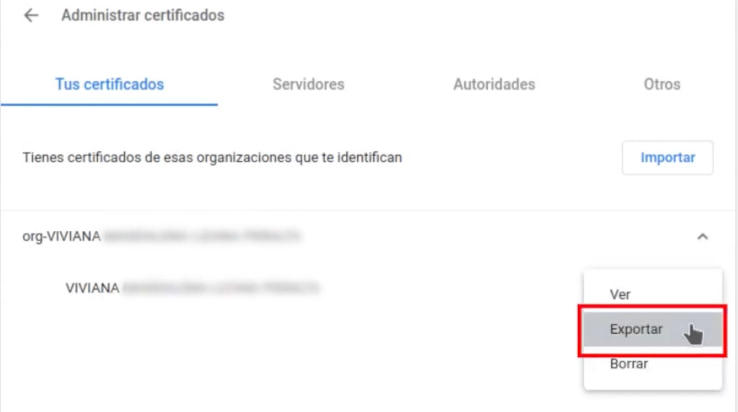 Menú de Google Chrome