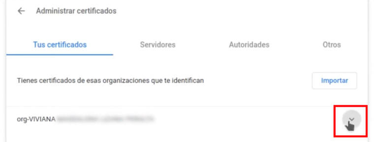 Menú de Google Chrome