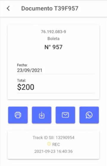 Detalles y estado de un documento