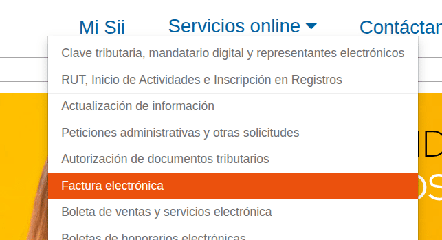 Servicios online